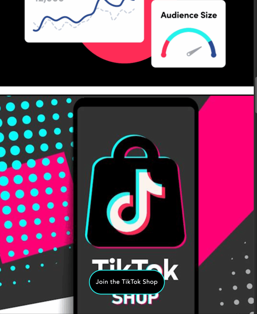 图片[4]-TikTok跨境电商｜落地页搭建与内嵌商城