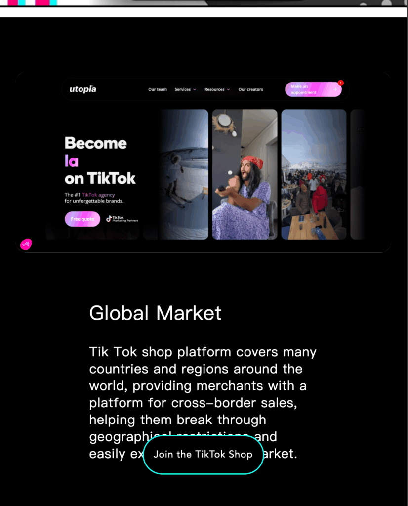 图片[5]-TikTok跨境电商｜落地页搭建与内嵌商城
